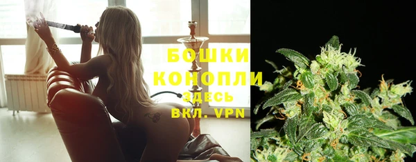 молекула духа Яровое