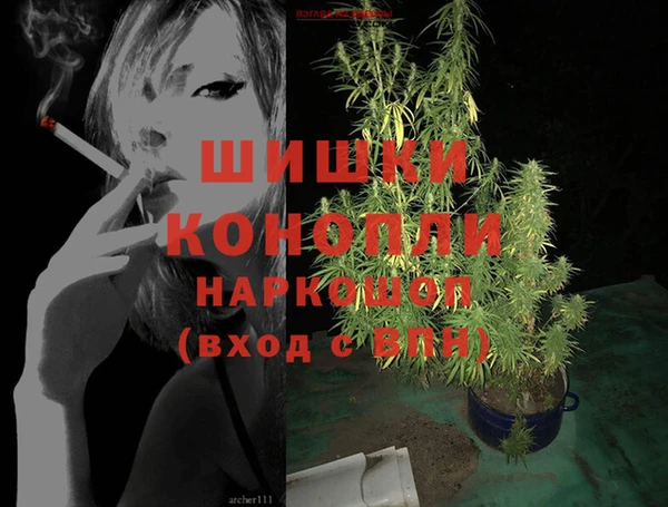 СК Инсар
