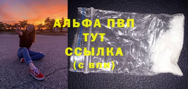 СК Инсар