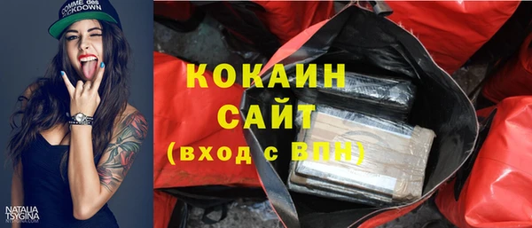mdpv Инта
