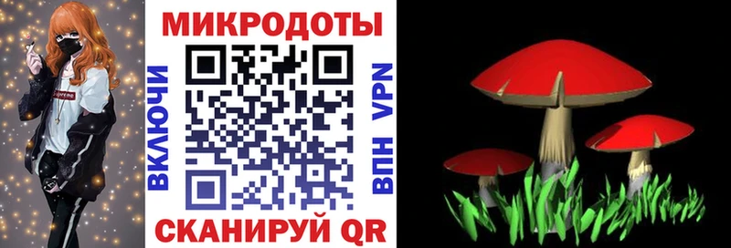 Псилоцибиновые грибы MAGIC MUSHROOMS  KRAKEN ссылка  Шагонар 