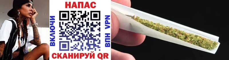 Бошки Шишки SATIVA & INDICA  купить закладку  Шагонар 